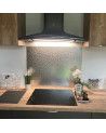 Inox Austenite