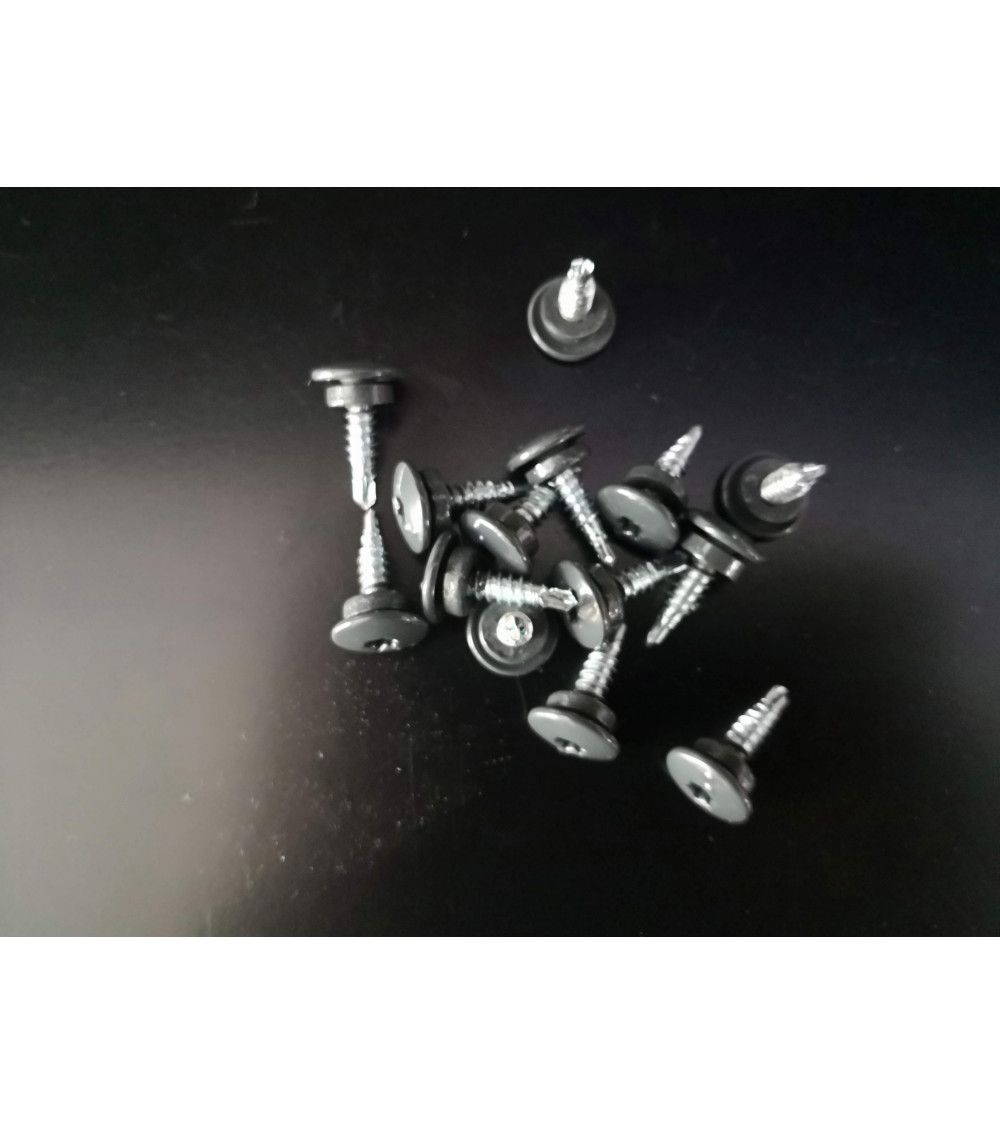 Vis 4,8 x 20 mm RAL 9010 / 8014 / 7016
