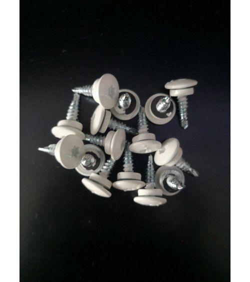 Vis 4,8 x 20 mm RAL 9010 / 8014 / 7016
