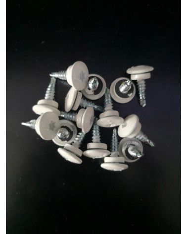 Vis 4,8 x 20 mm RAL 9010 / 8014 / 7016