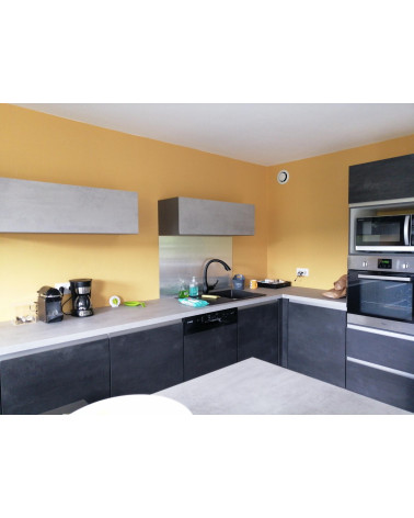 Fond de Hotte / Crédence Inox Magnétique Brossé 1 mm