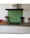Vert Pâle RAL 6021