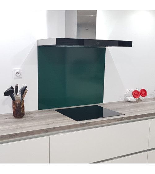 Crédence Aluminium Vert Mousse RAL 6005